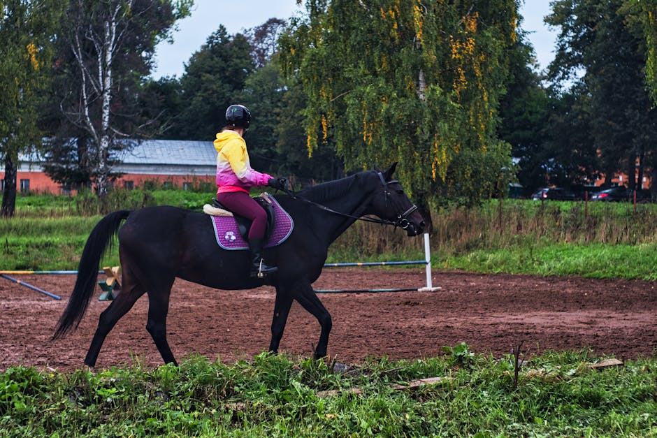 Дашборды и визуализация данных